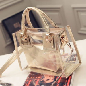 Charleen Transparent Handbag